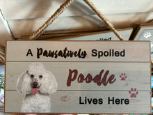 Load image into Gallery viewer, pawsatively spoiled
