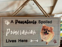 Load image into Gallery viewer, pawsatively spoiled
