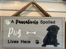 Load image into Gallery viewer, pawsatively spoiled
