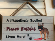 Load image into Gallery viewer, pawsatively spoiled
