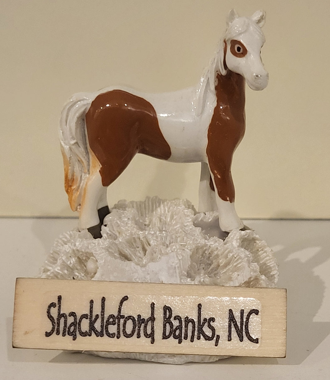 Shackleford Horse on Coral