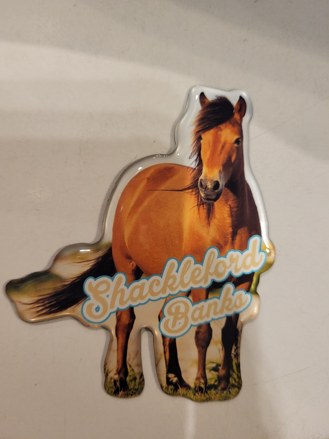 Shackleford Banks Magnet