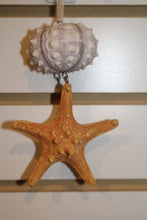 Load image into Gallery viewer, Sea Life Ornaments
